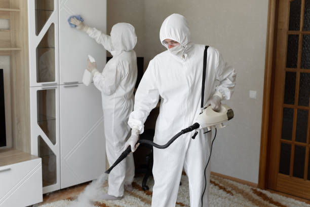 24/7 Emergency Odor Removal experts in Sparta, NJ