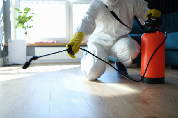 Reliable Odor Removal contractor in Sparta, NJ by Crime Scene Cleaner Online
